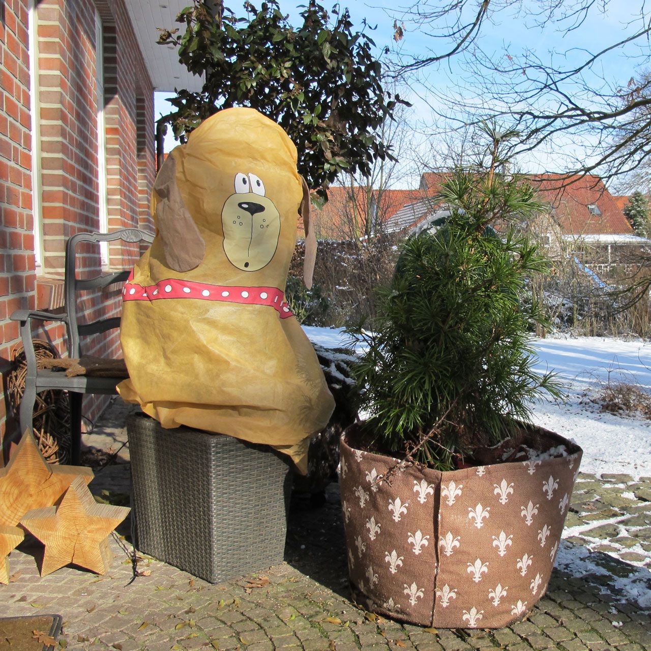 V27929_Winterschutz-Vlieshaube_Hund__Bello_braun_1_1280x1280.jpg