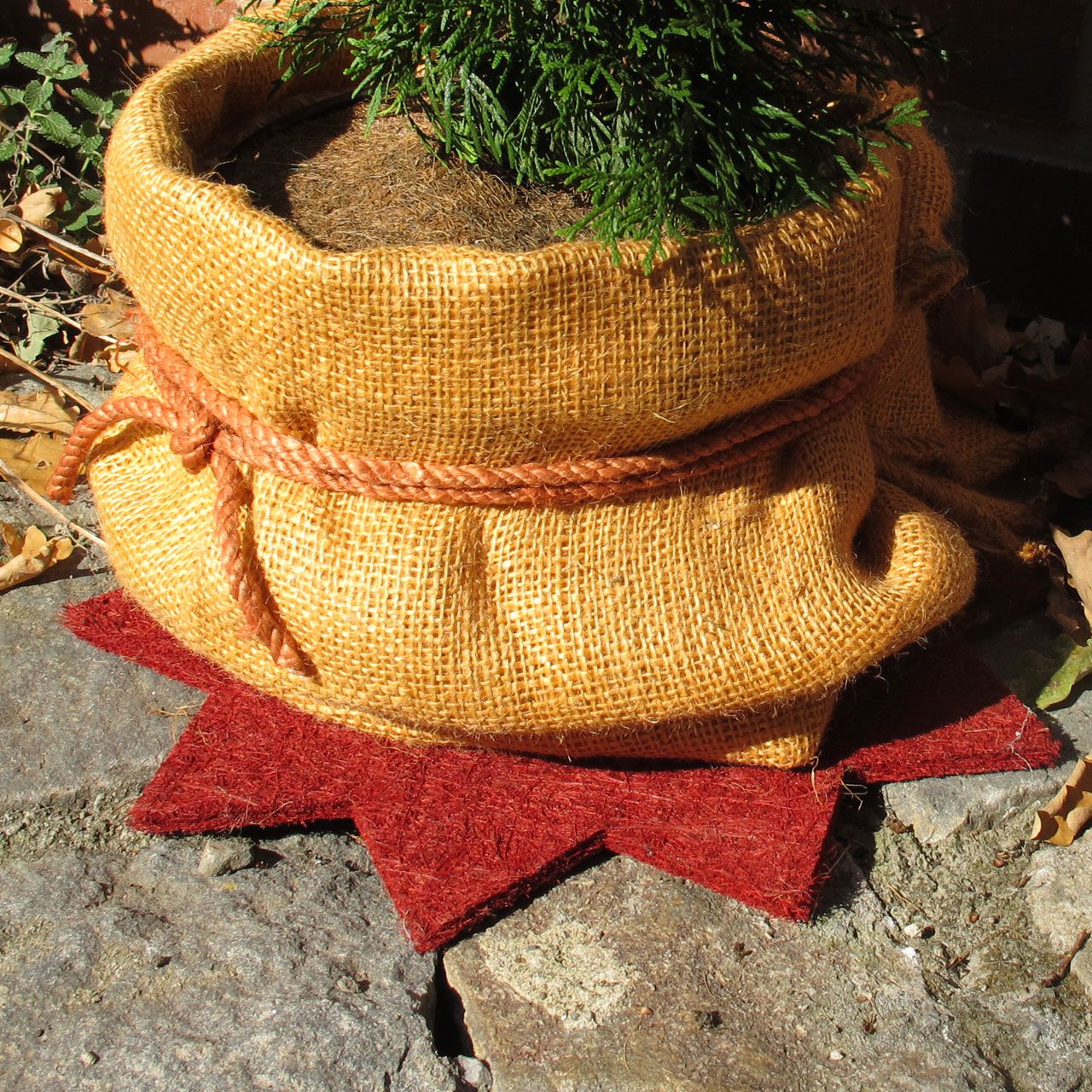 V27312_Winterschutz_Kokosmatte_Stern_mit_Loch_rot_1280x1280.jpg