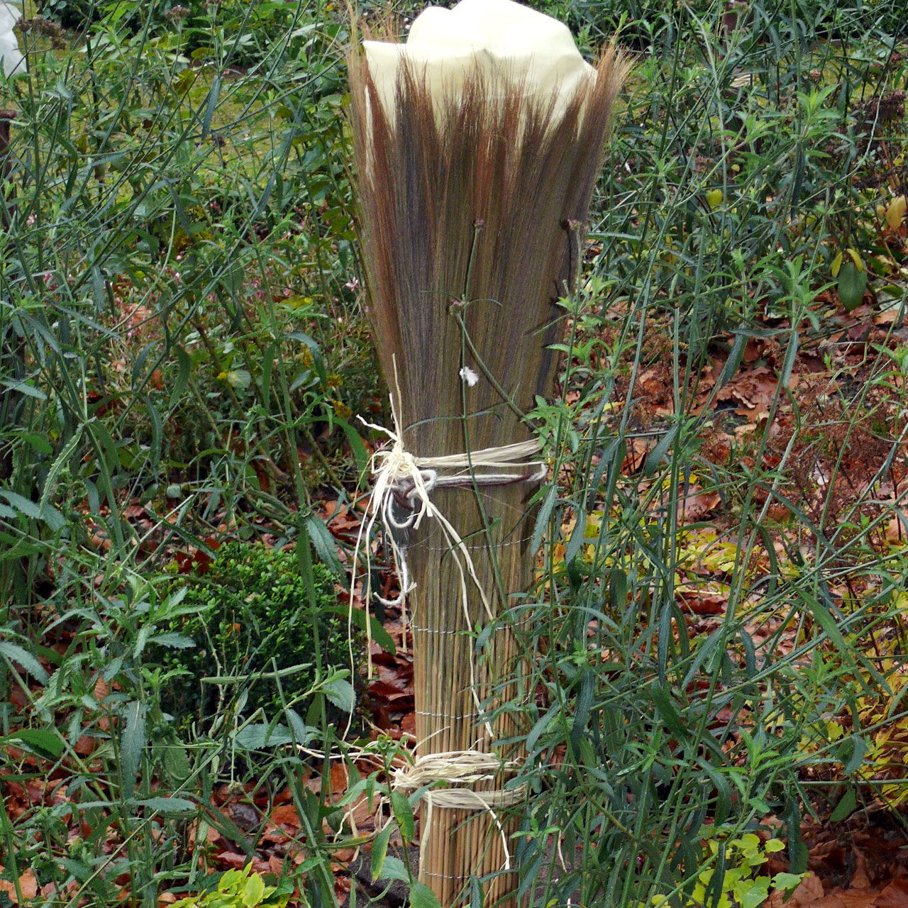V27143_Winterschutzmatte_California_naturbelassene_Farnmatte_natur_10_1280x1280.jpg