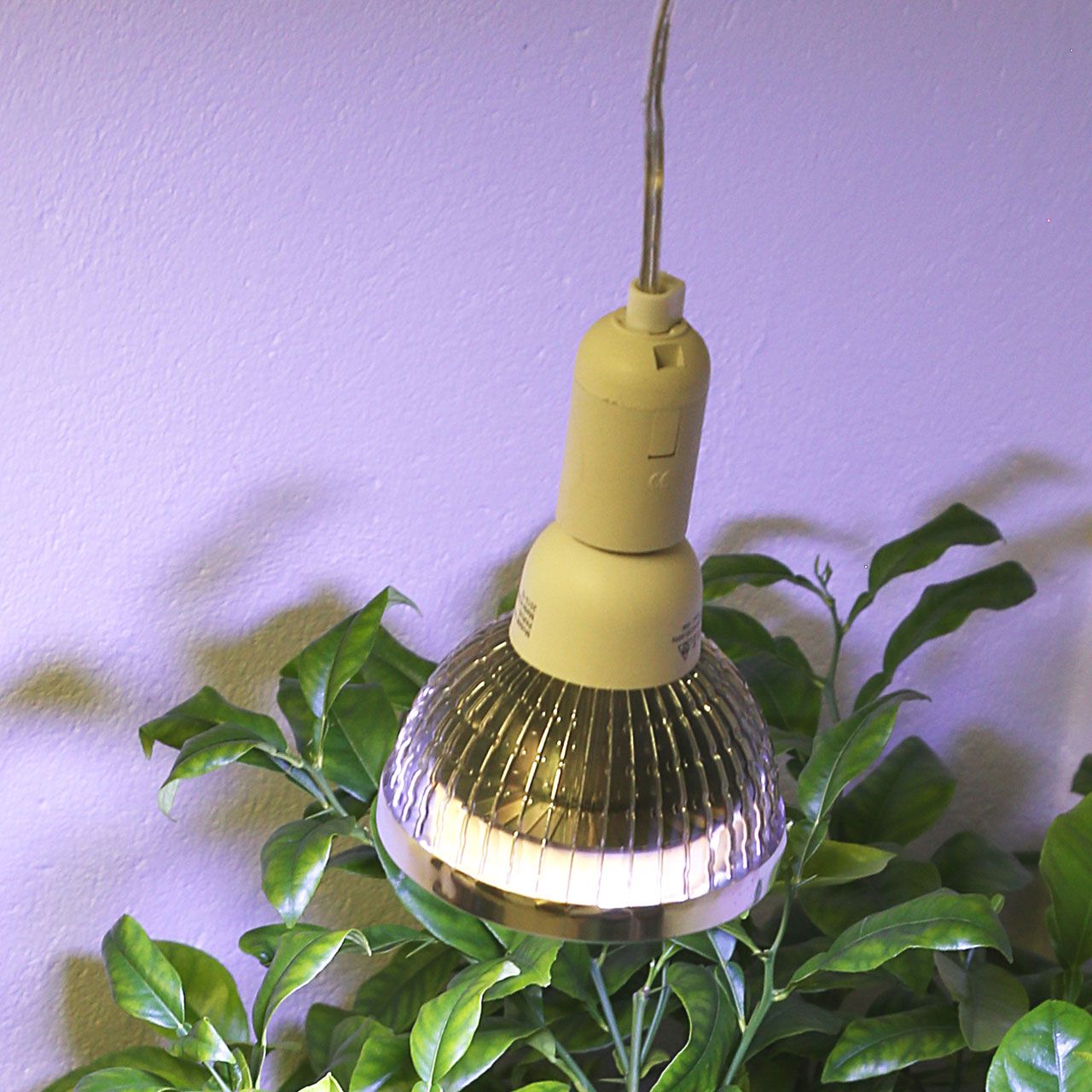 A3780_LED-Pflanzenlampe_Winter_18Watt_1280x1280.jpg